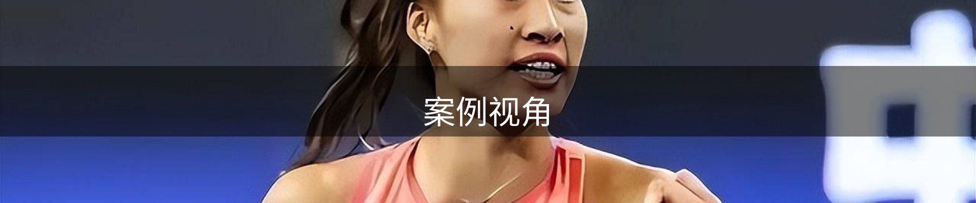 案例视角